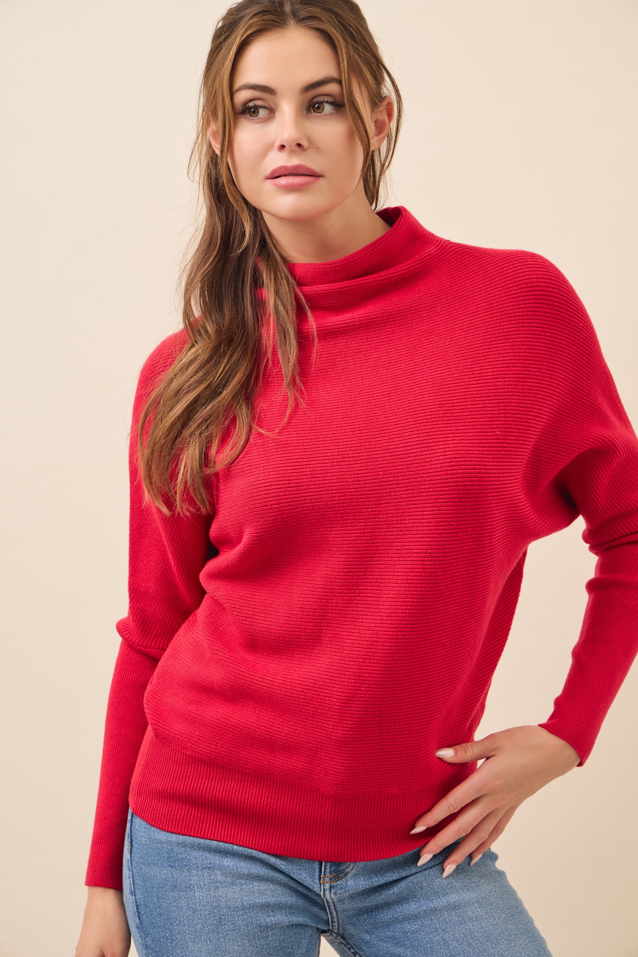 Lina Knit Mock Neck Oversized Top